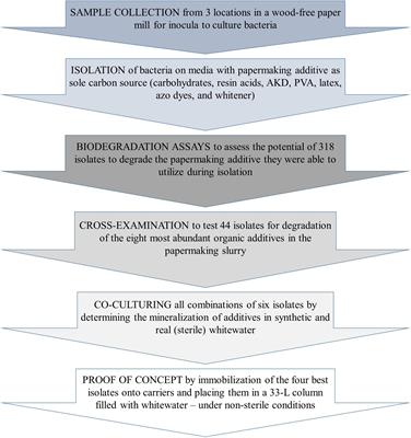 Frontiers Isolation Identification and Selection of Bacteria